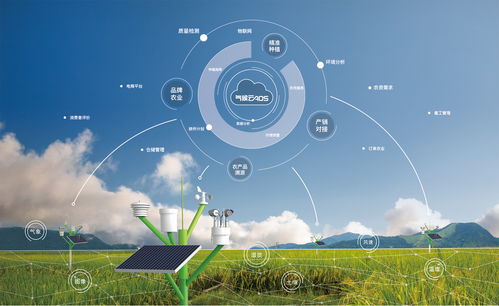 揭秘大氣候 如何用“大氣農場”鏈接優質產區與2000萬個家庭